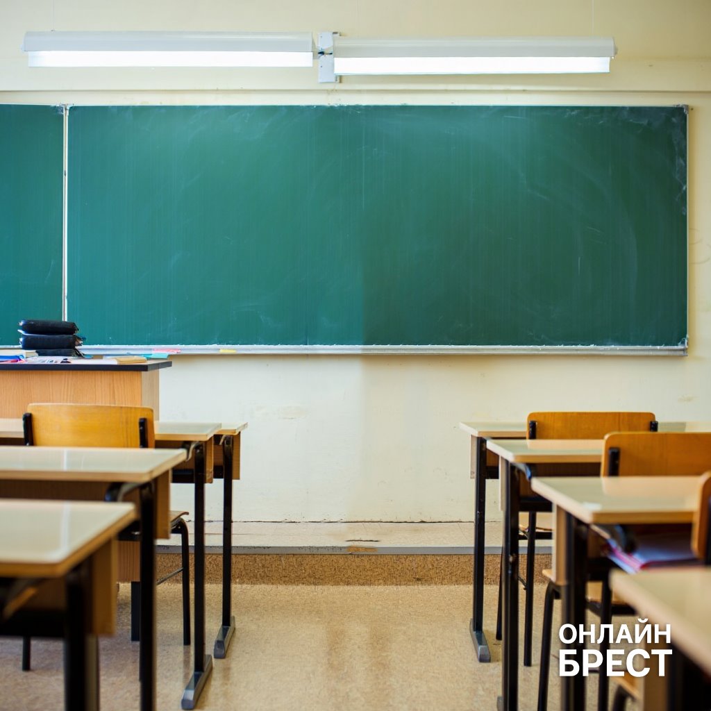 В Беларуси студенты решили купить курсовые — вот чем это закончилось