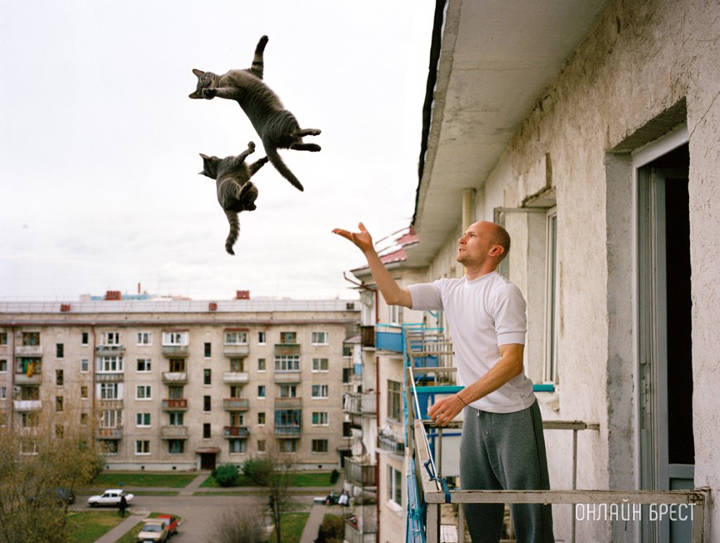 В Беларуси мужчина выбросил двух кошек с пятого этажа — подробности расследования