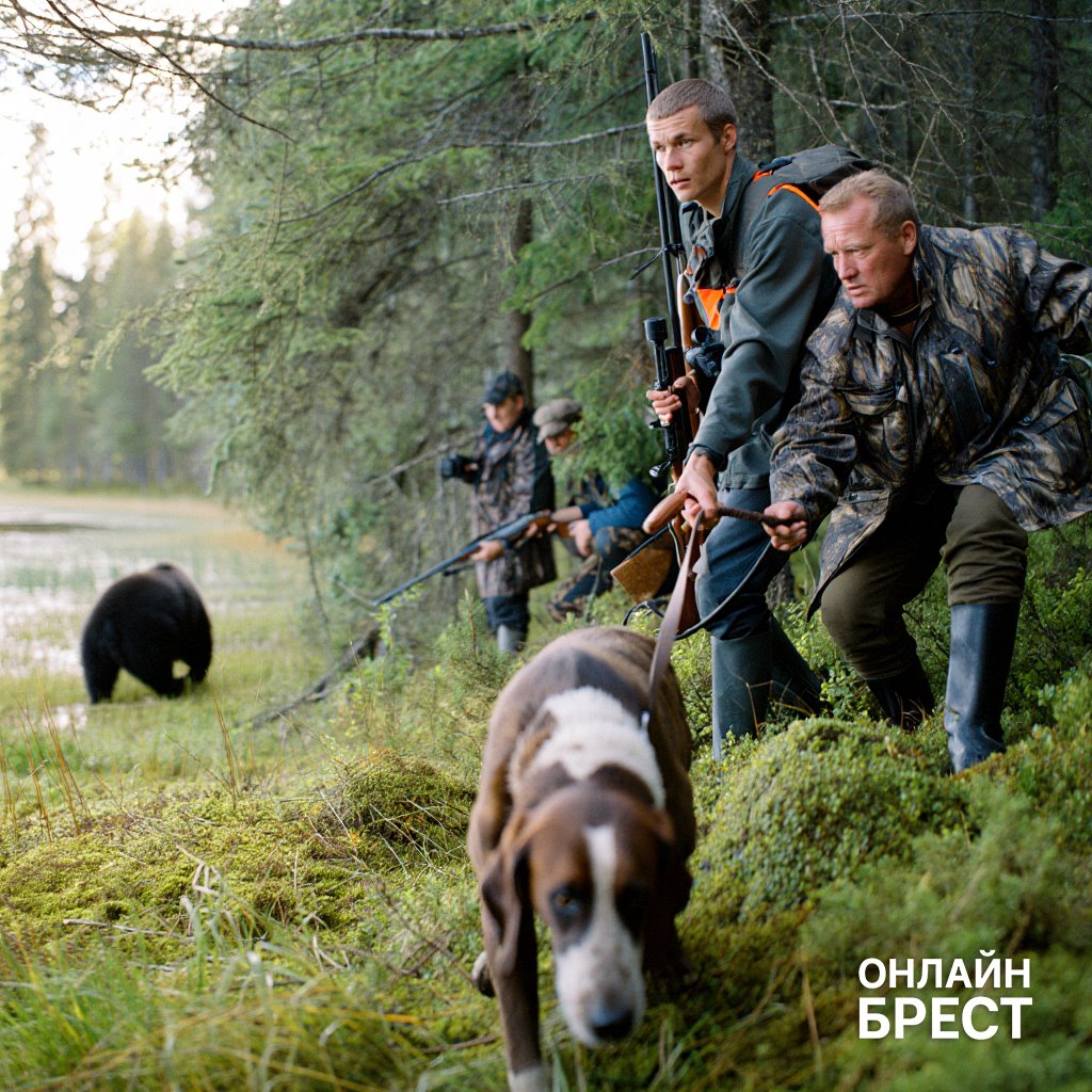 Первого медведя добыли в Беларуси на охоте