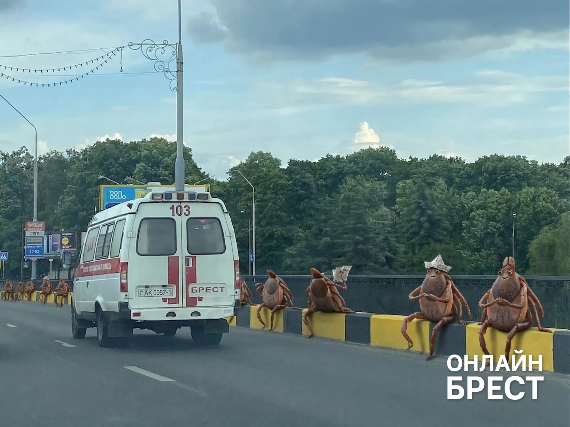 Врач рассказала, как правильно удалить клеща и не навредить себе