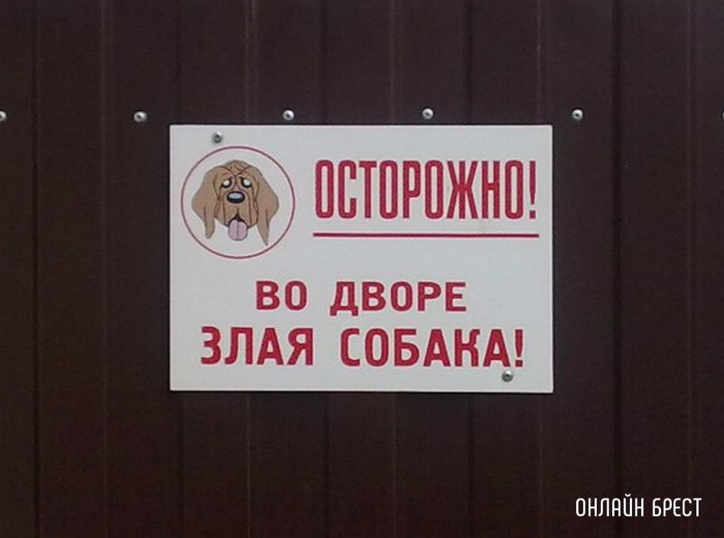 В Каменецком районе собака покусала односельчанина. Как и кто за это отвечал?