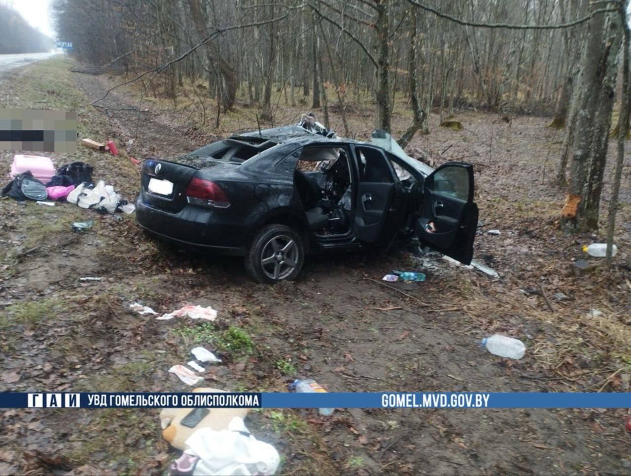 Лось выбежал на трассу: жесткое ДТП унесло жизнь молодого водителя