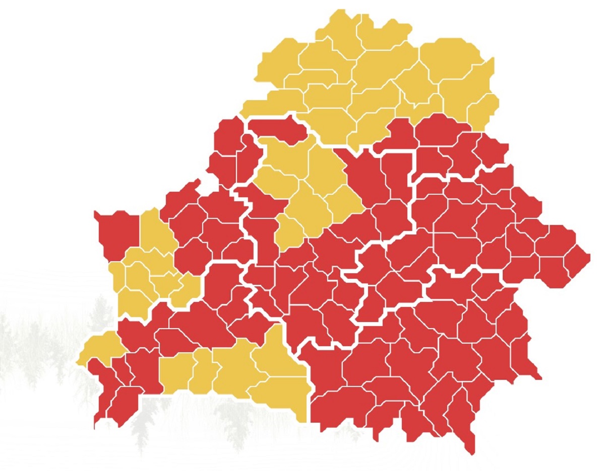 По всей Беларуси ввели ограничения или запреты на посещение лесов