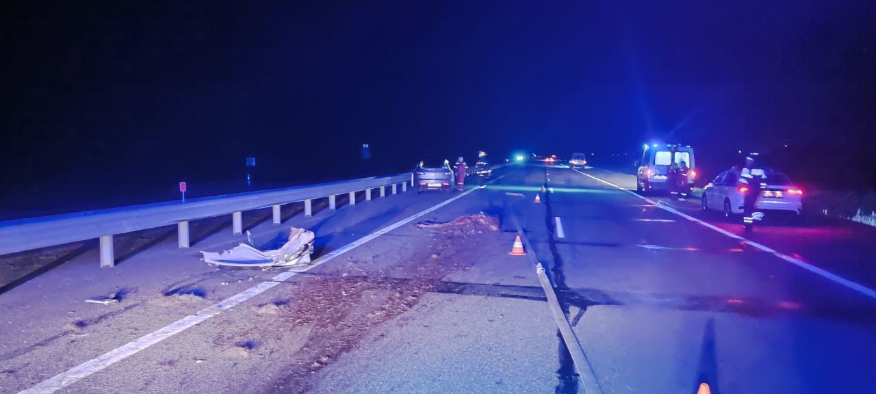 Серьёзное ДТП на трассе М1 в Брестской области: автомобиль врезался в дикое животное, водитель в больнице