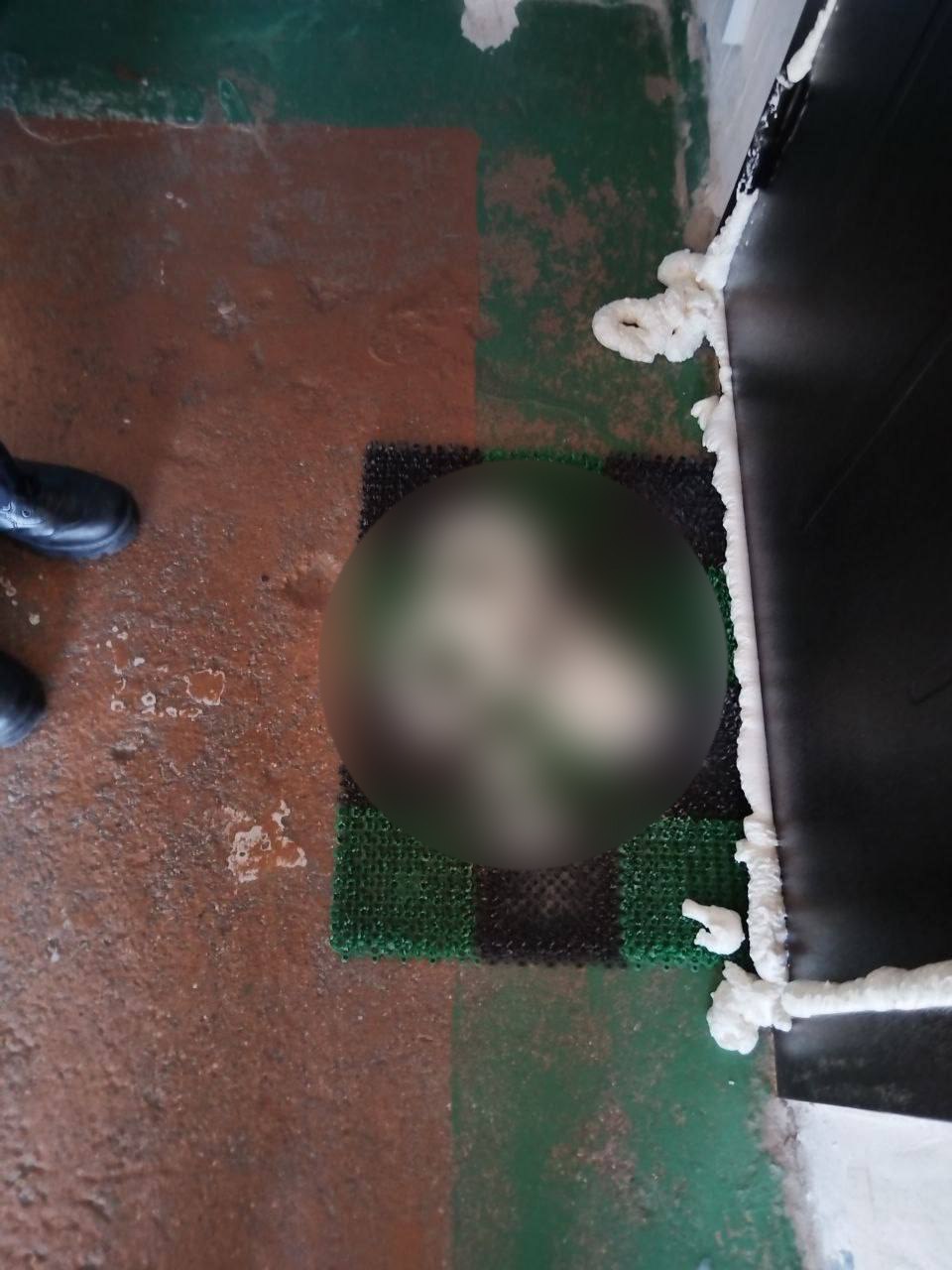 Запенили входную дверь в квартиру соседки в отместку за заявление в милицию на родственницу. Подробности истории