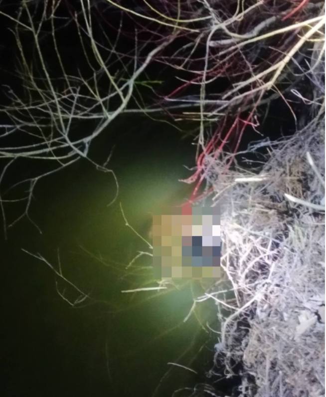 Ушел рыбачить - не вернулся: в Пинске нашли тело мужчины