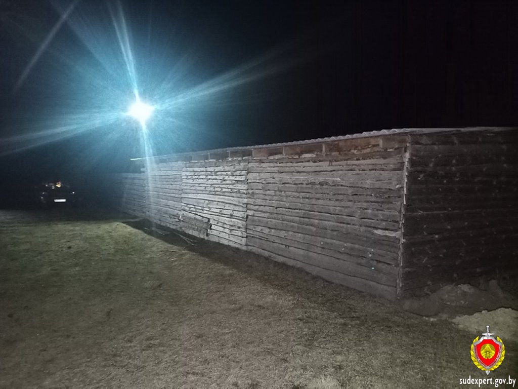 Бык насмерть затоптал мужчину в Брестской области