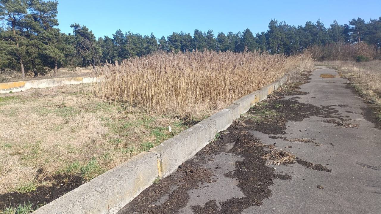 Лицом вниз в яме: в Лунинецком районе обнаружили тело мужчины