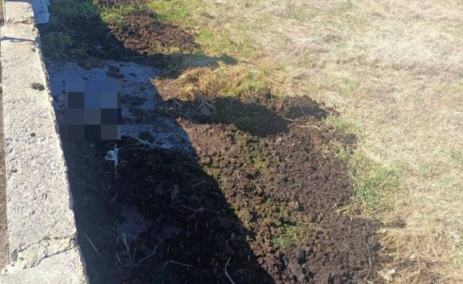 Лицом вниз в яме: в Лунинецком районе обнаружили тело мужчины