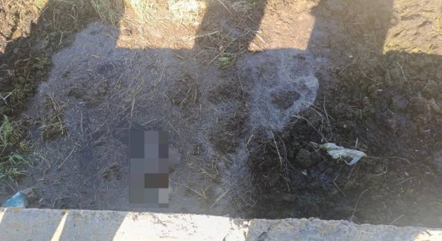 Лицом вниз в яме: в Лунинецком районе обнаружили тело мужчины