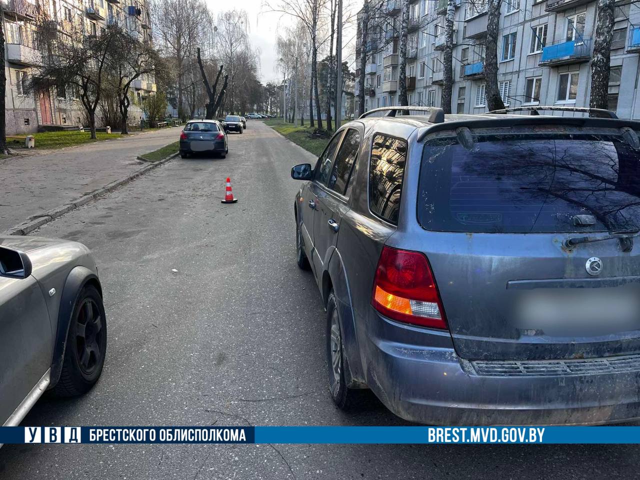 Водитель Kia сдавал назад и сбил пенсионерку в Пружанском районе