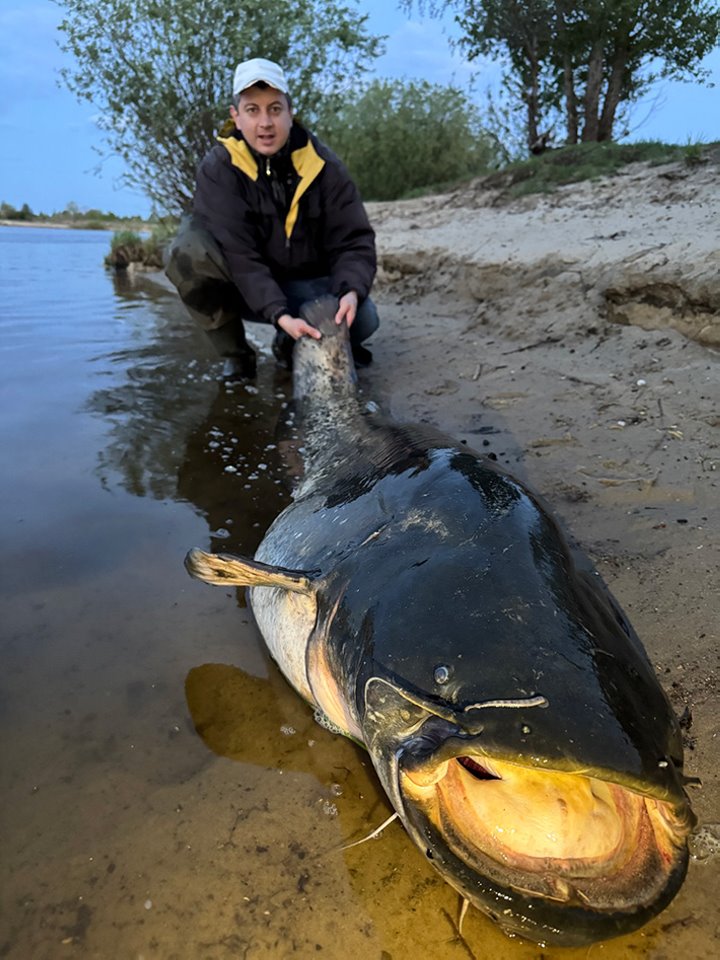 202 см! Белорус поймал огромного сома