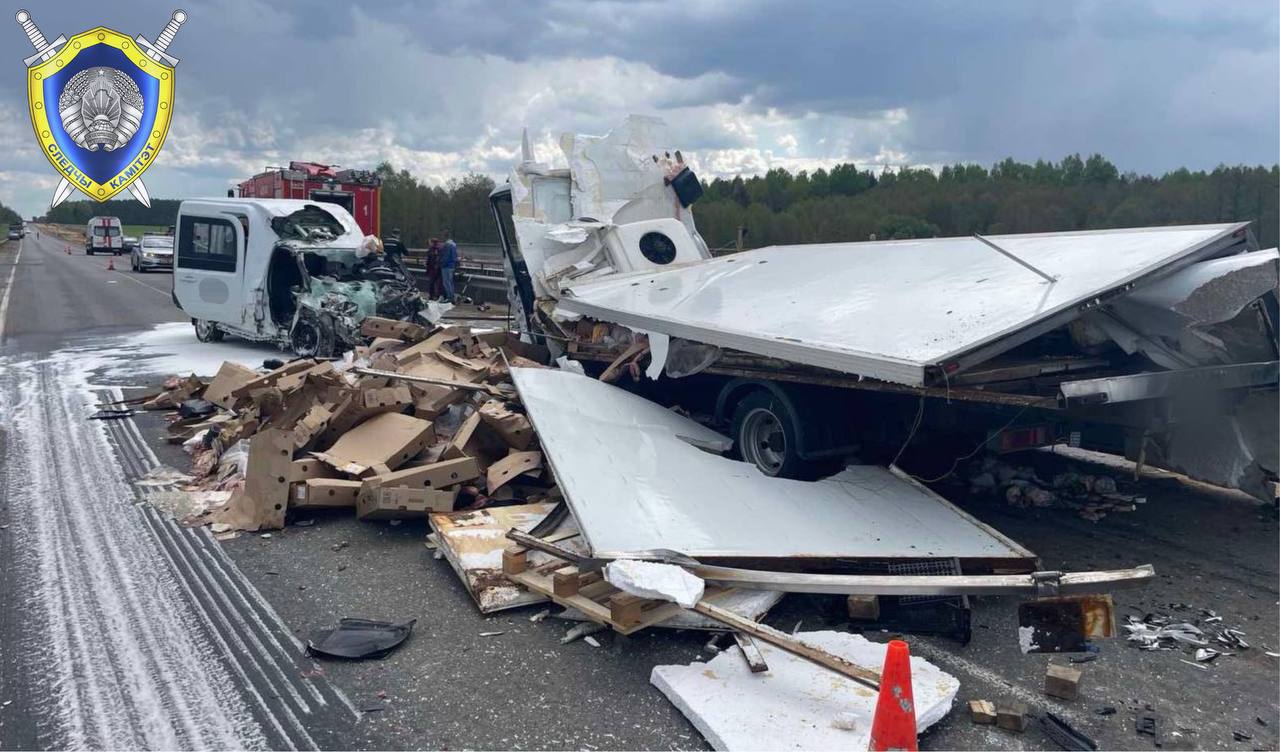 В Беларуси BMW сбил косулю и перевернулся