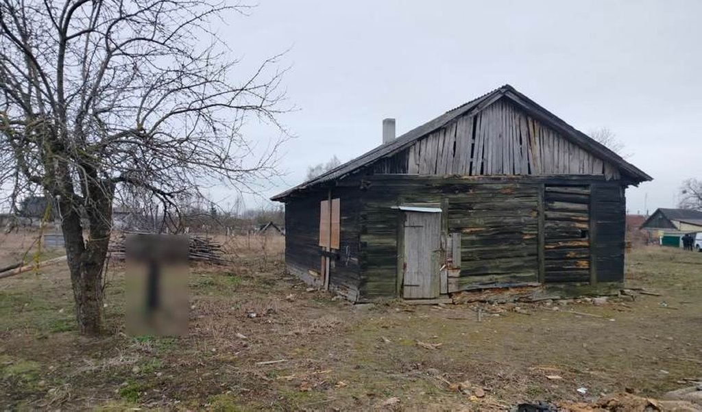 Житель Гродно убил собаку.  Ему предъявлено обвинение