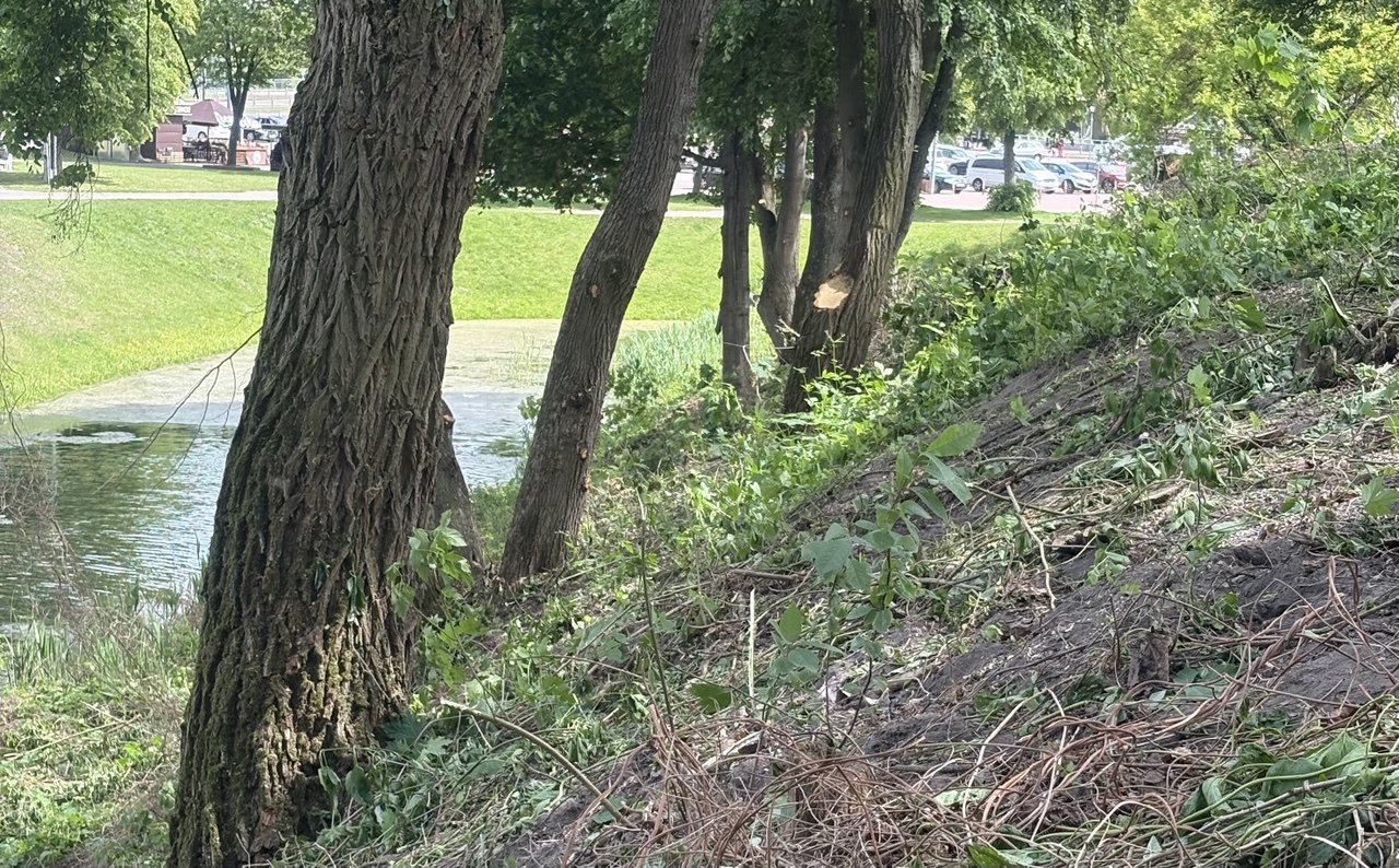 В Брестской крепости развернулись масштабные работы по благоустройству территории