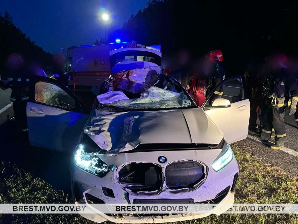 В Брестской области произошло серьезное ДТП: BMW столкнулся с лосем