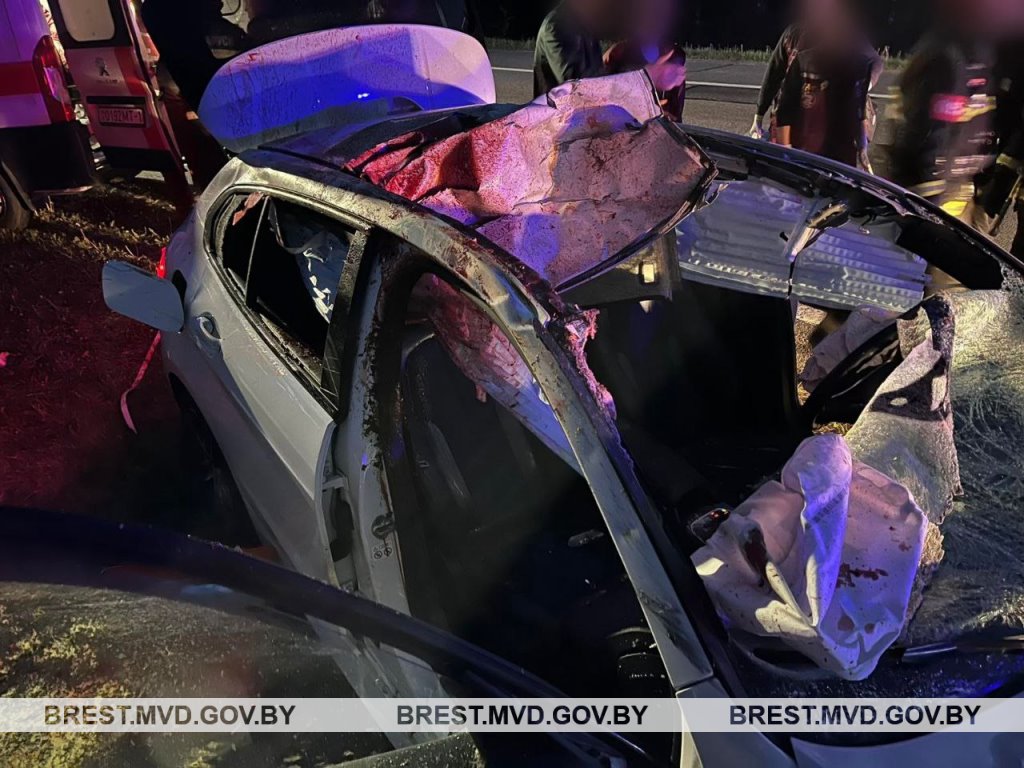 В Брестской области произошло серьезное ДТП: BMW столкнулся с лосем
