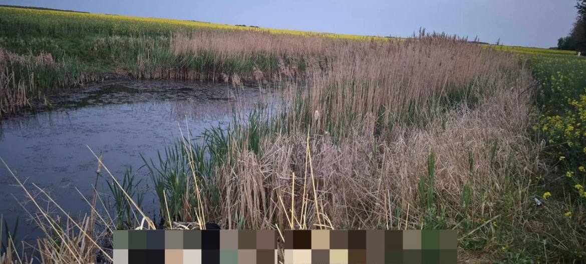 Мужчина утонул в Пружанском районе