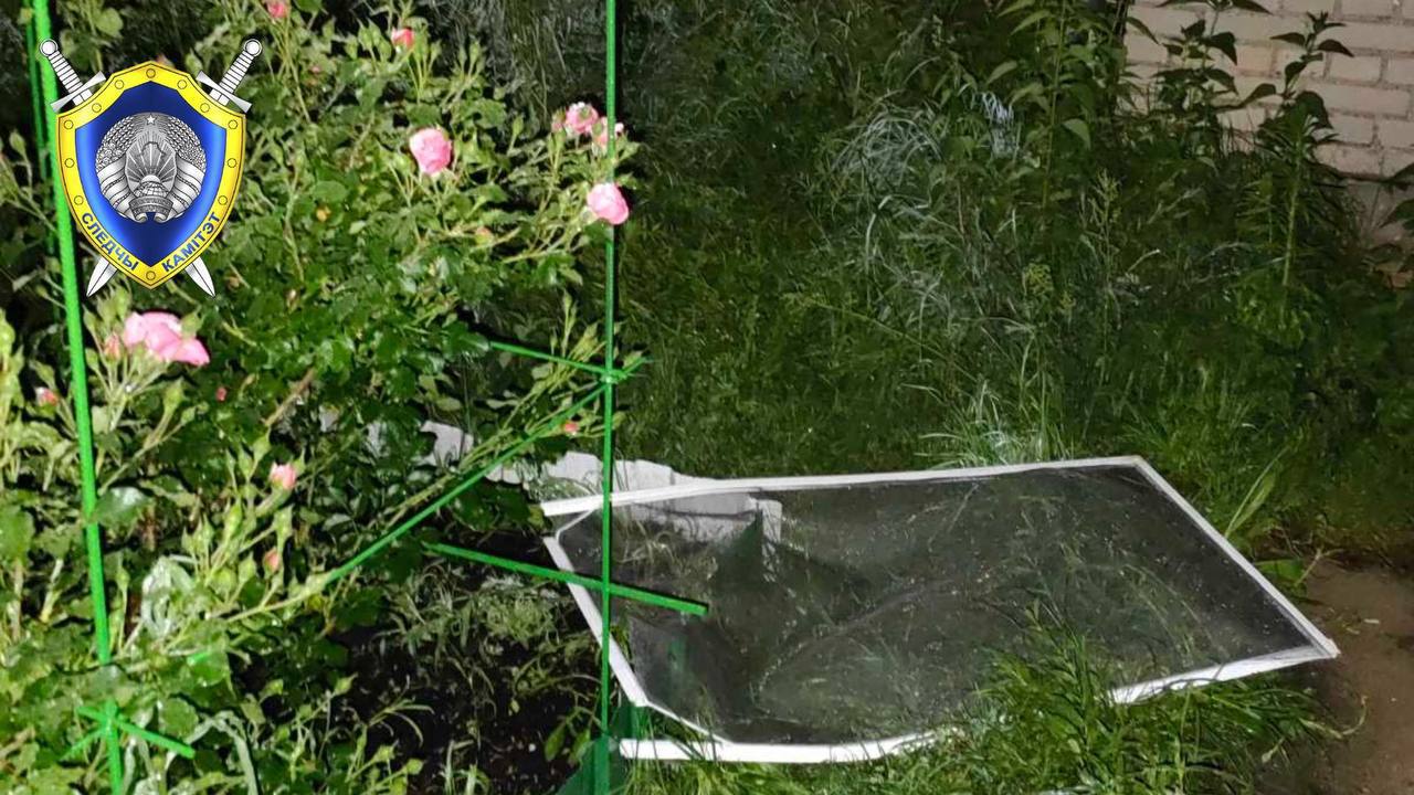 Трехлетний малыш выпал из окна второго этажа