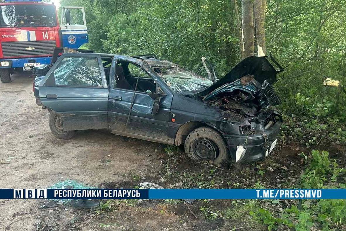 Жуткое ДТП унесло две жизни в Брестской области