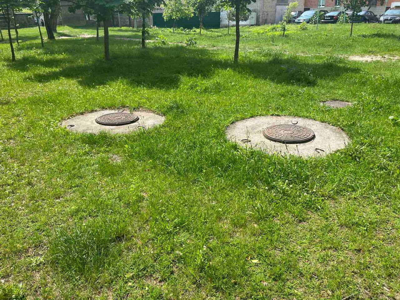 Инцидент с котами в Бресте. Милиция рассказала подробности