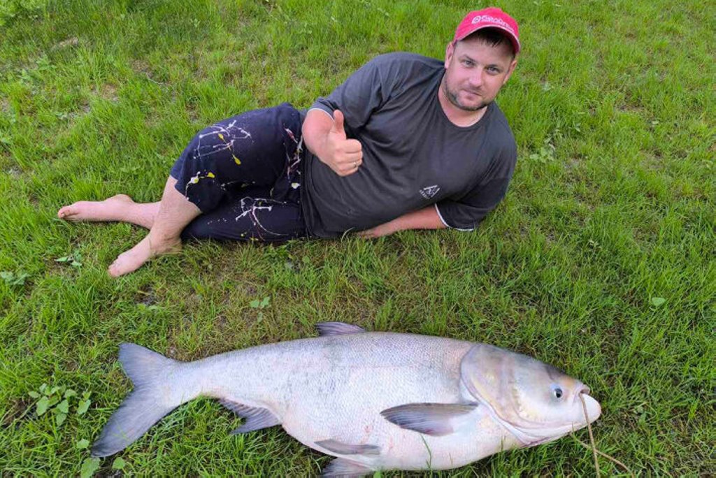 В Беларуси рыбак поймал гигантского толстолобика