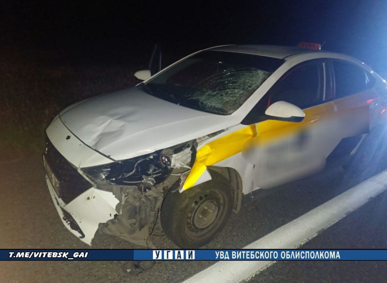 В Беларуси водитель вышел осмотреть машину после ДТП, и его насмерть сбил другой автомобиль