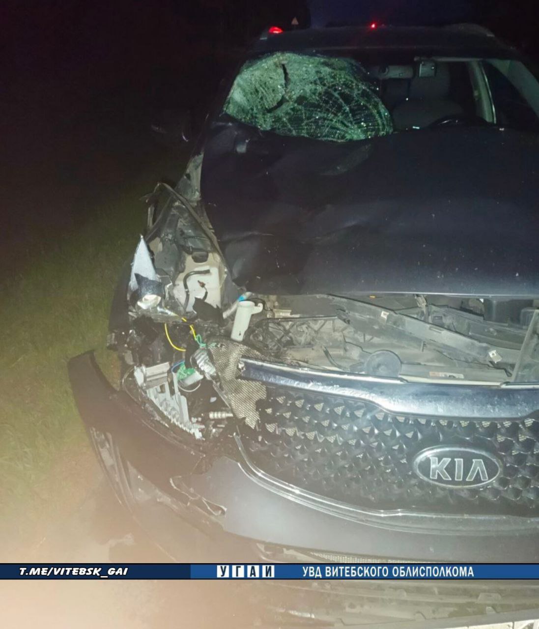 В Беларуси водитель вышел осмотреть машину после ДТП, и его насмерть сбил другой автомобиль