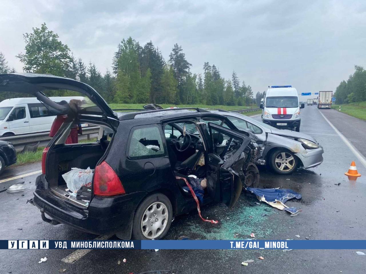 Косуля спровоцировала серьезную аварию трех автомобилей на трассе М1