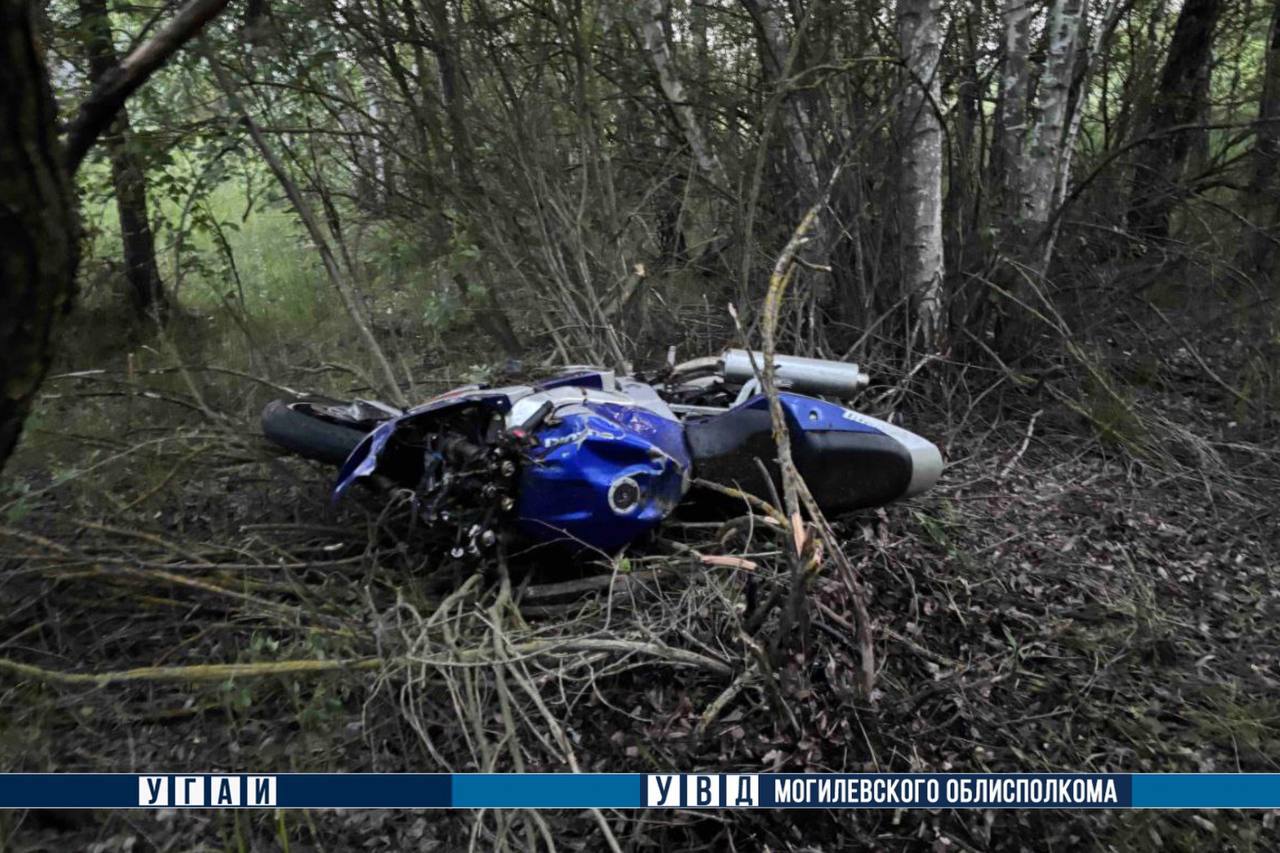 В Беларуси погиб мотоциклист – он столкнулся с лосем