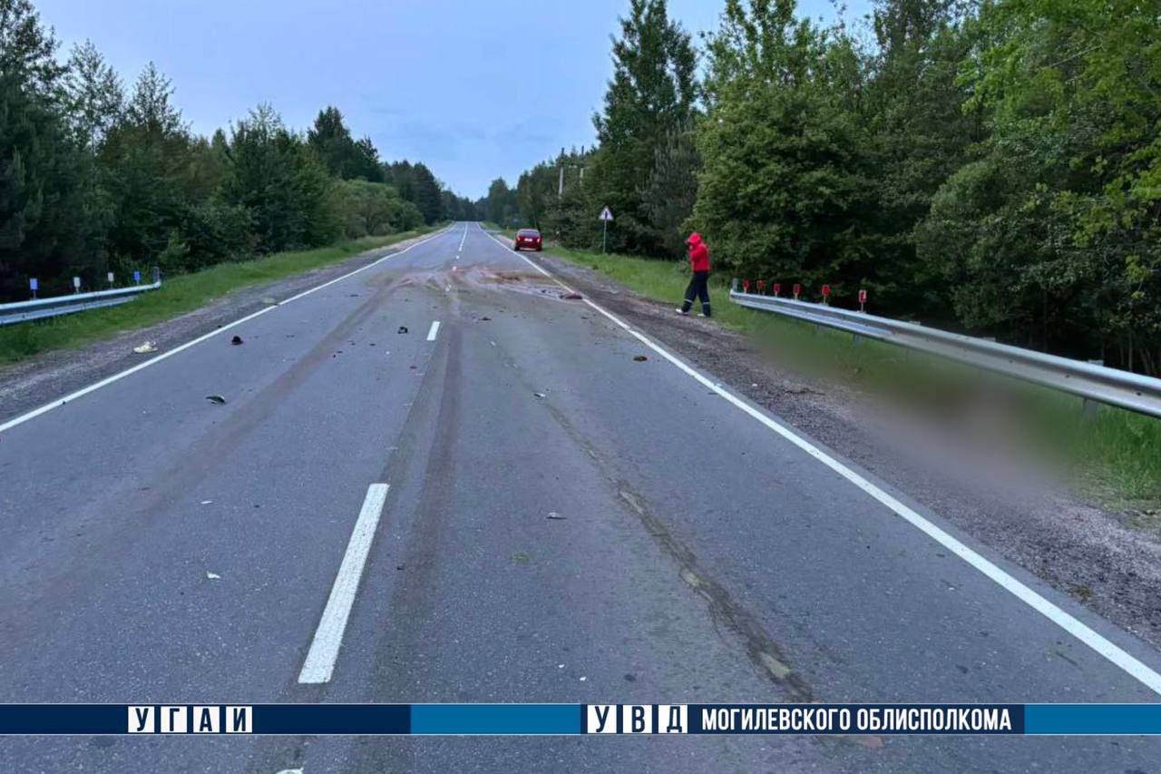 В Беларуси погиб мотоциклист – он столкнулся с лосем