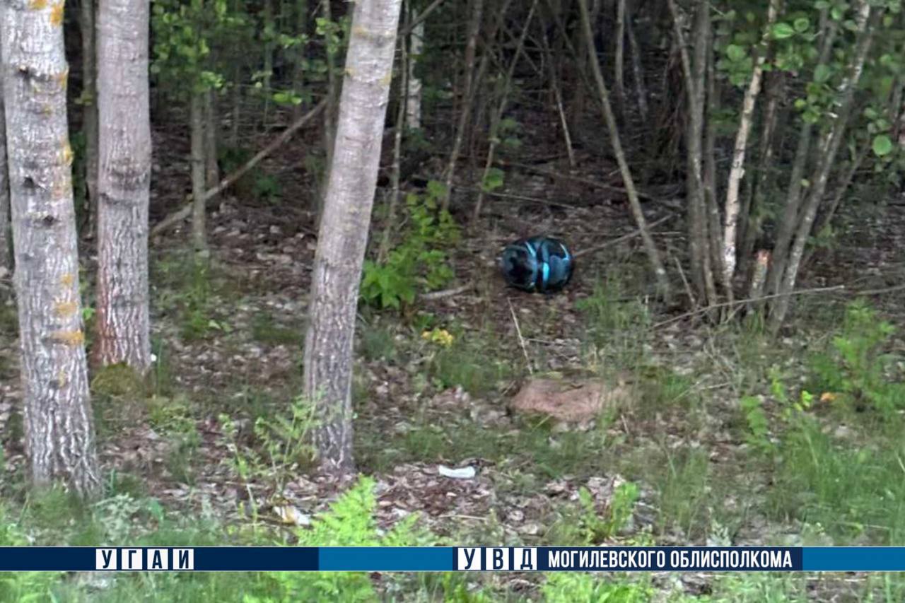 В Беларуси погиб мотоциклист – он столкнулся с лосем