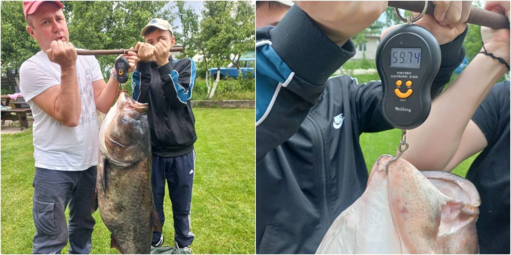 Белоруска поймала гигантского толстолобика — его вес около 60 кг