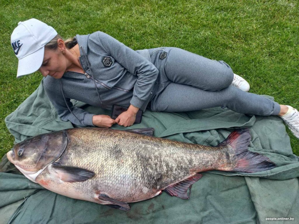 Белоруска поймала гигантского толстолобика — его вес около 60 кг