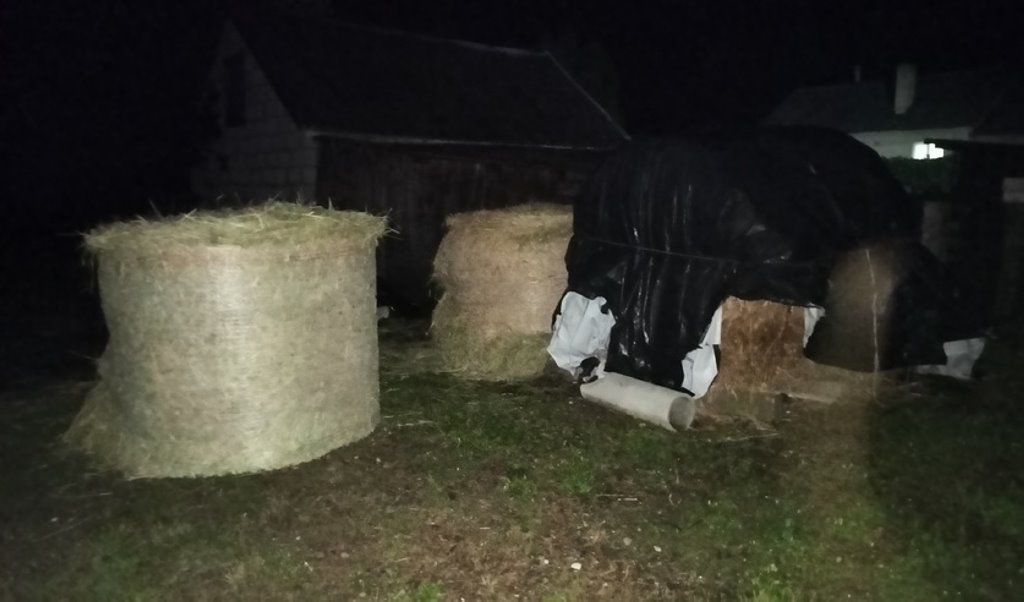 В Дрогичинском районе 8-летняя девочка получила тяжелые травмы ног