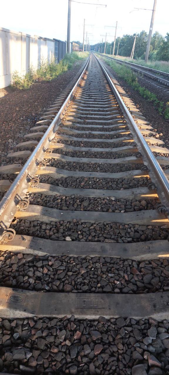 В Беларуси трое детей складывали на рельсы камни — ответственность грозит родителям