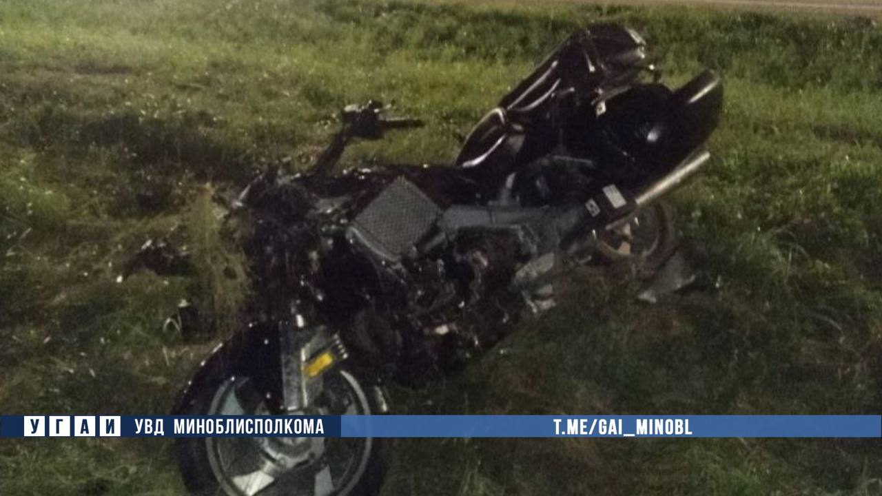 В Беларуси мотоциклист погиб при столкновении с лосем