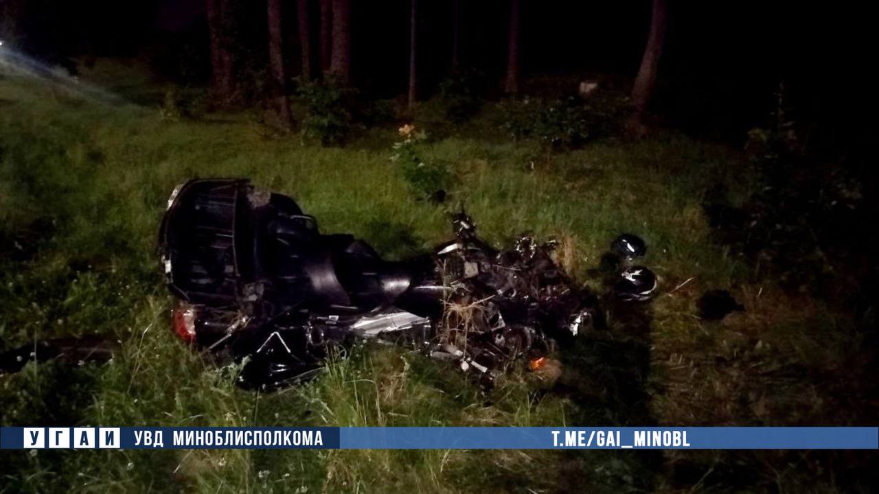 В Беларуси мотоциклист погиб при столкновении с лосем