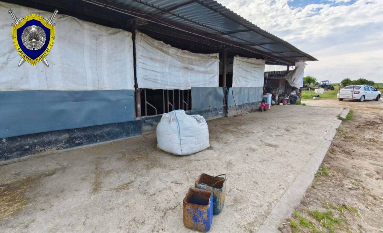 Корова тяжело травмировала девочку в Березовском районе