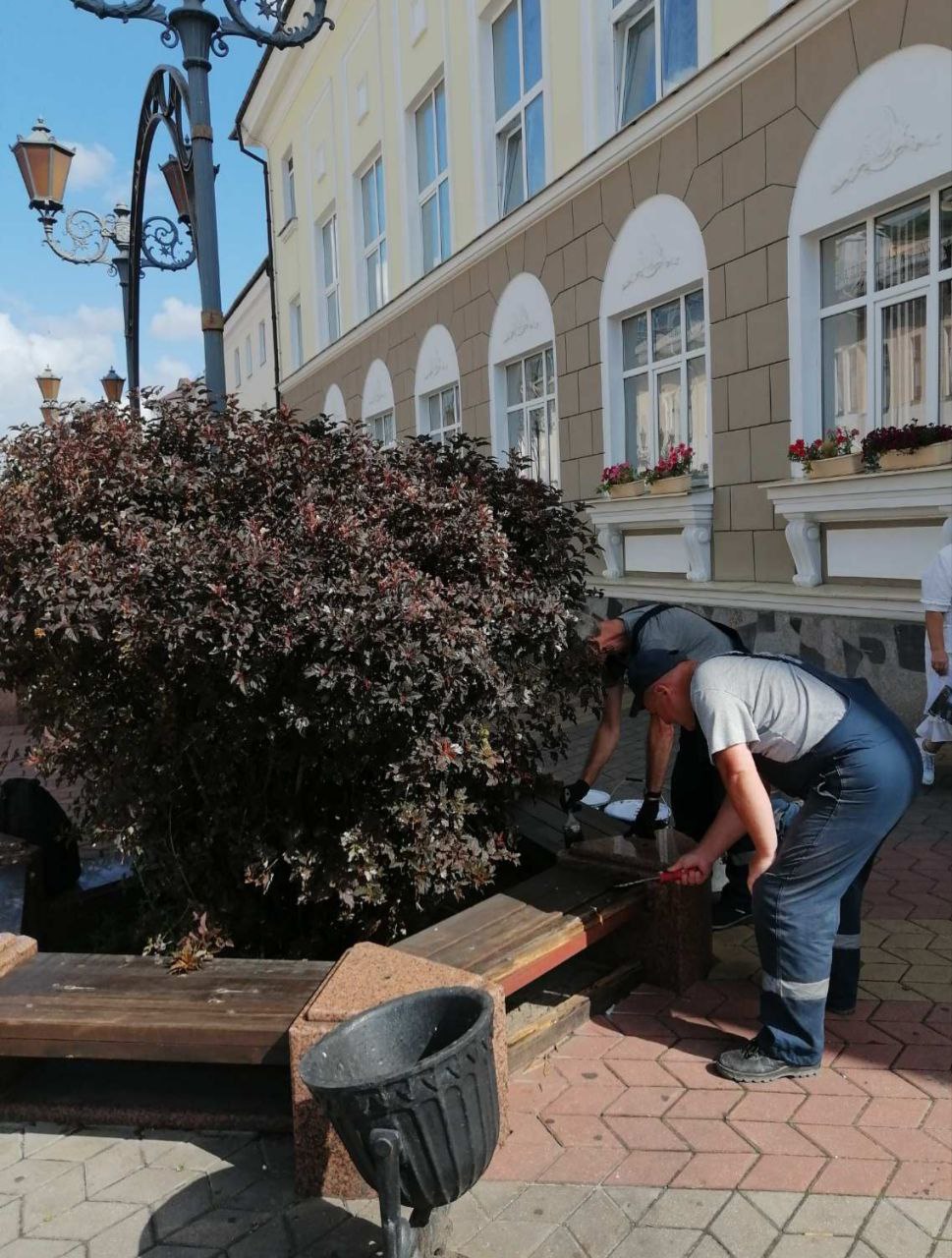 Осторожно, окрашено! Работы по покраске скамеек продолжаются на Советской в Бресте