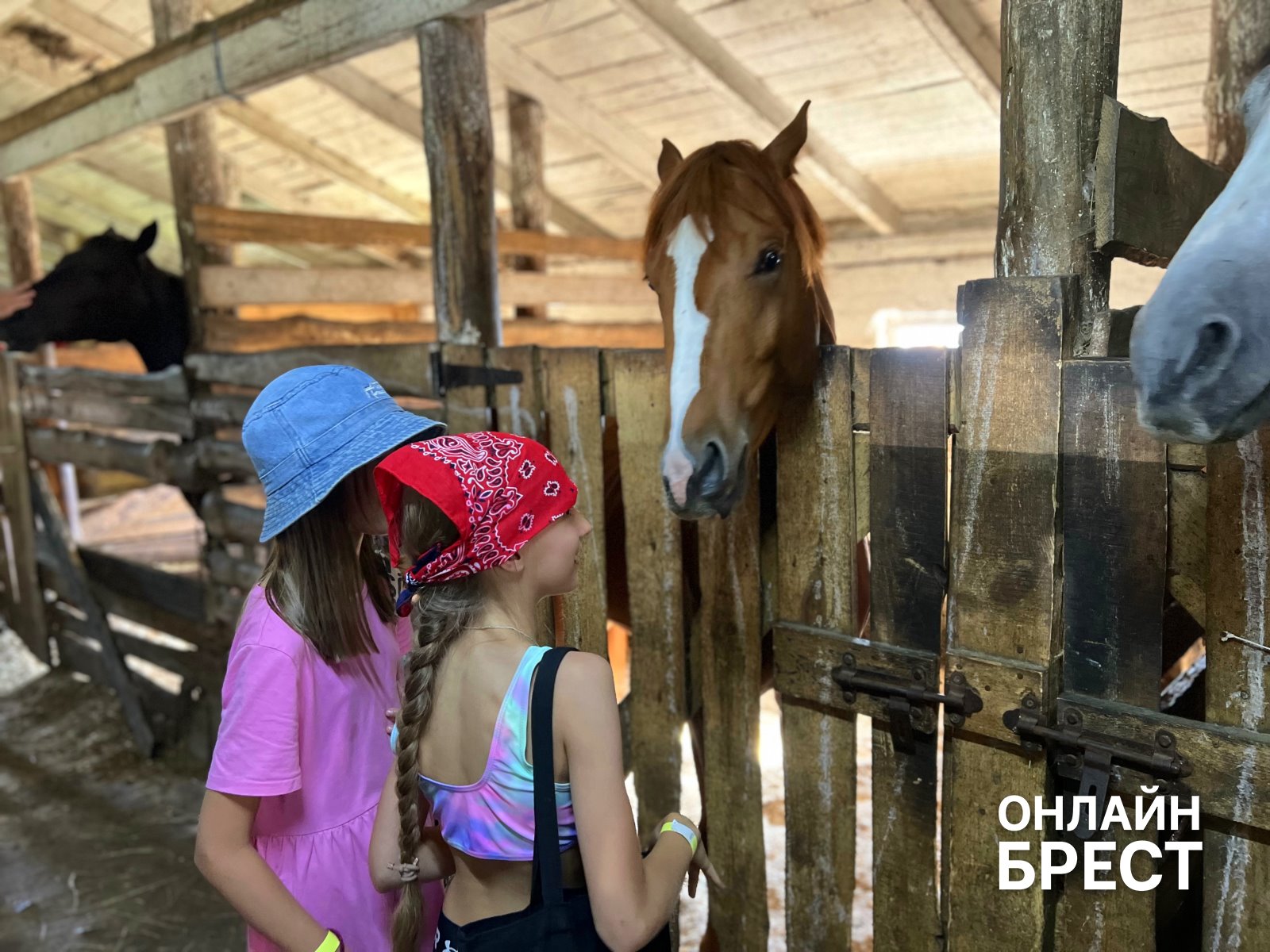 От байкеров до лошадей: как под Брестом устроили взрыв радости для детей