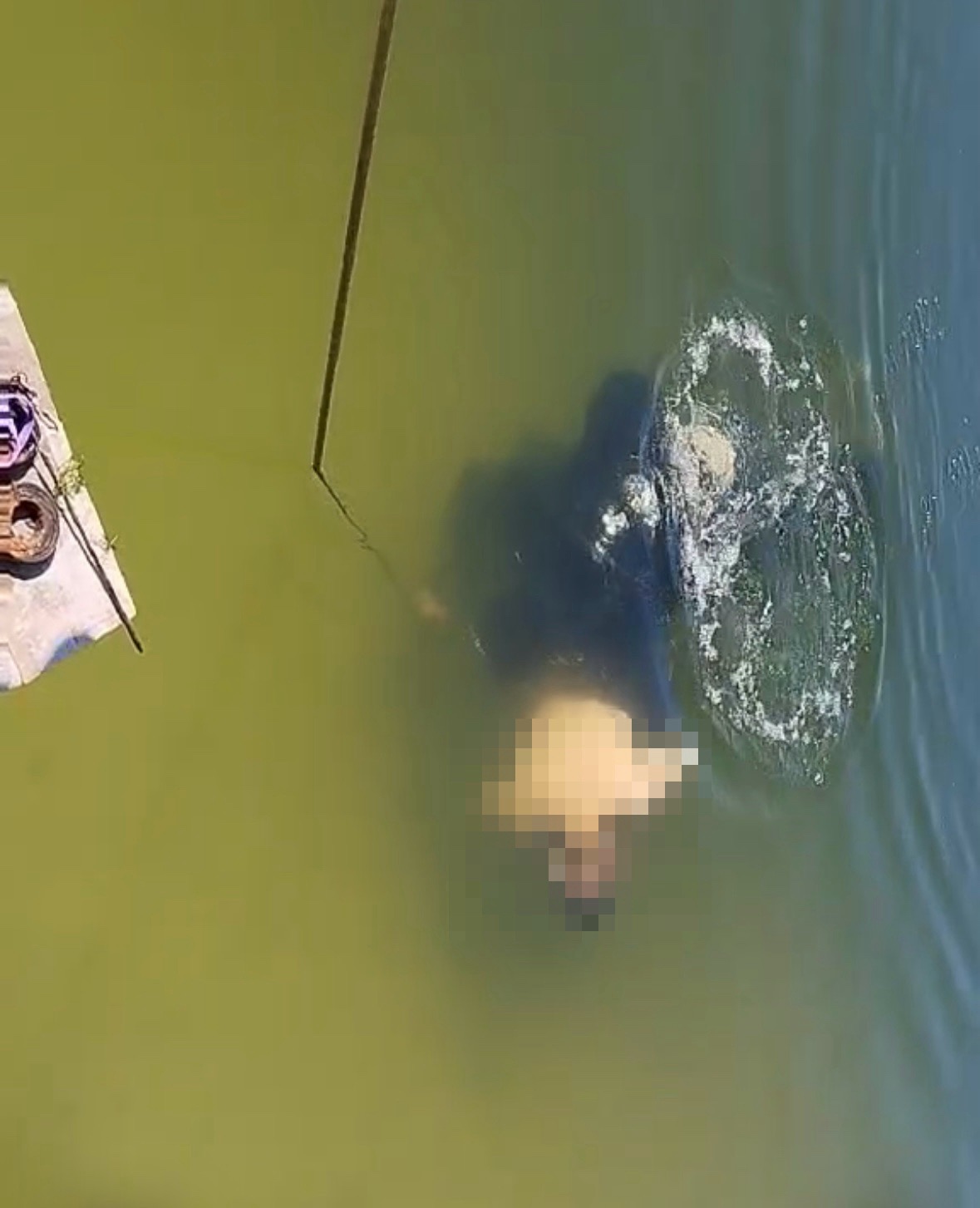 Подробности трагедии на озере Каташи — утонул мужчина