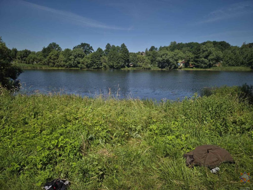 Белорус, пытаясь нарвать жене водяных лилий, утонул