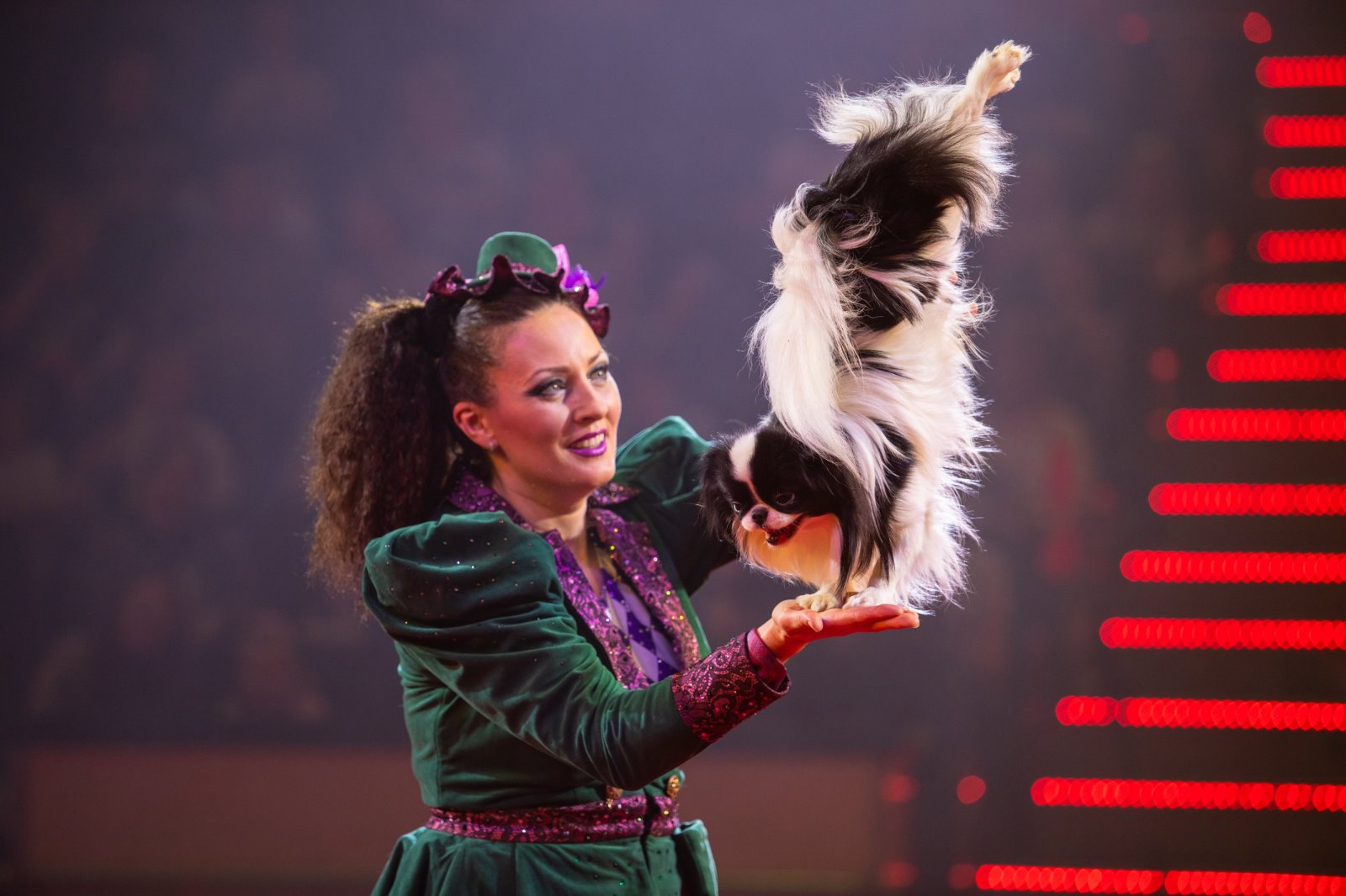 Белгосцирк приехал в Брест!