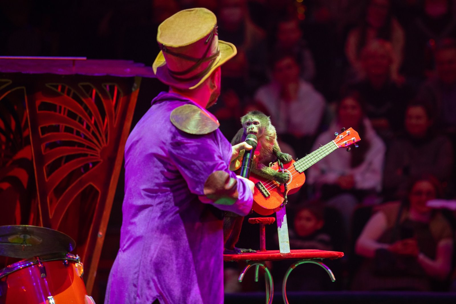 Белгосцирк приехал в Брест!