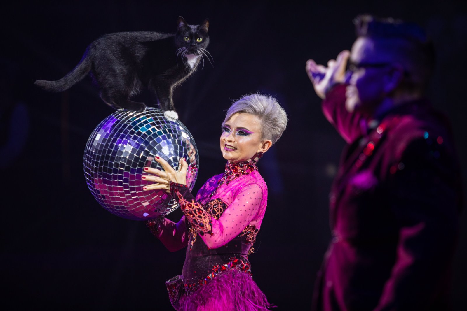 Белгосцирк приехал в Брест!