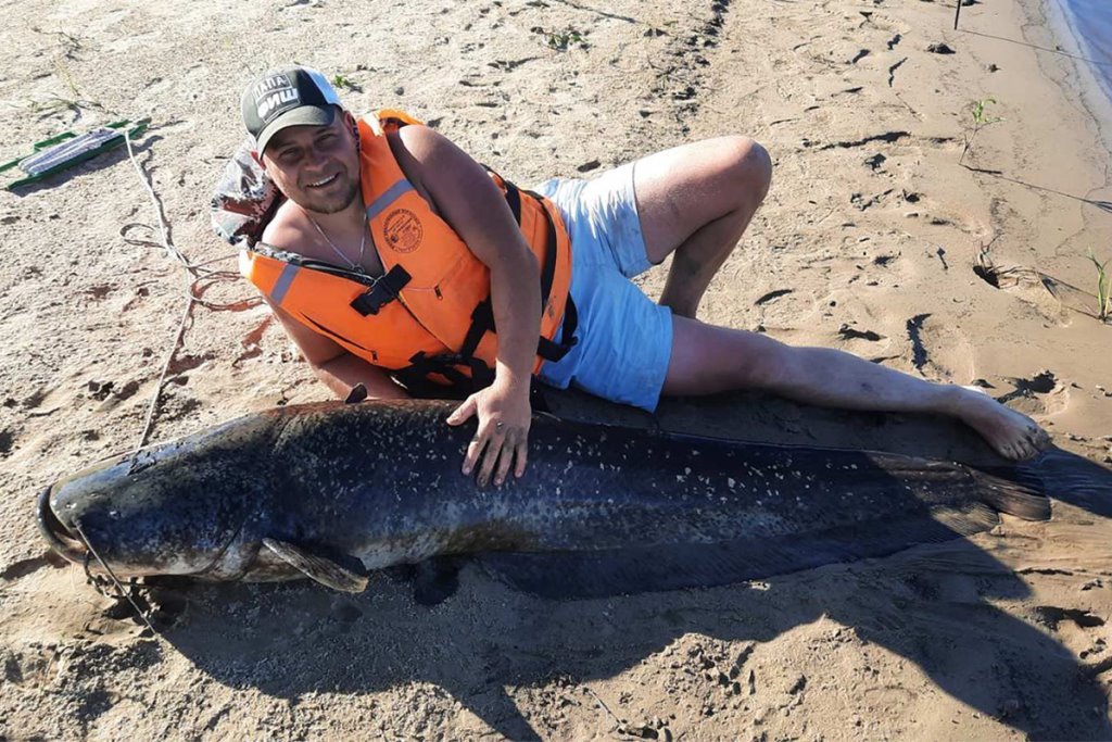 В Беларуси рыбак ростом 180 см поймал сома, который оказался длиннее его