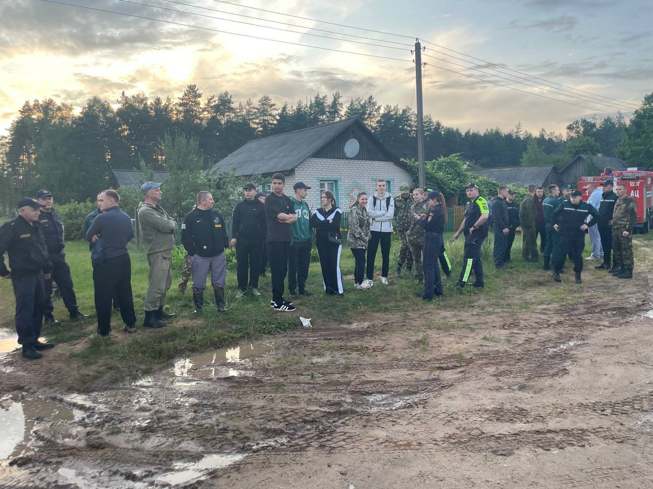 Потерявшуюся в лесу девочку искали около 300 человек — чем всё закончилось