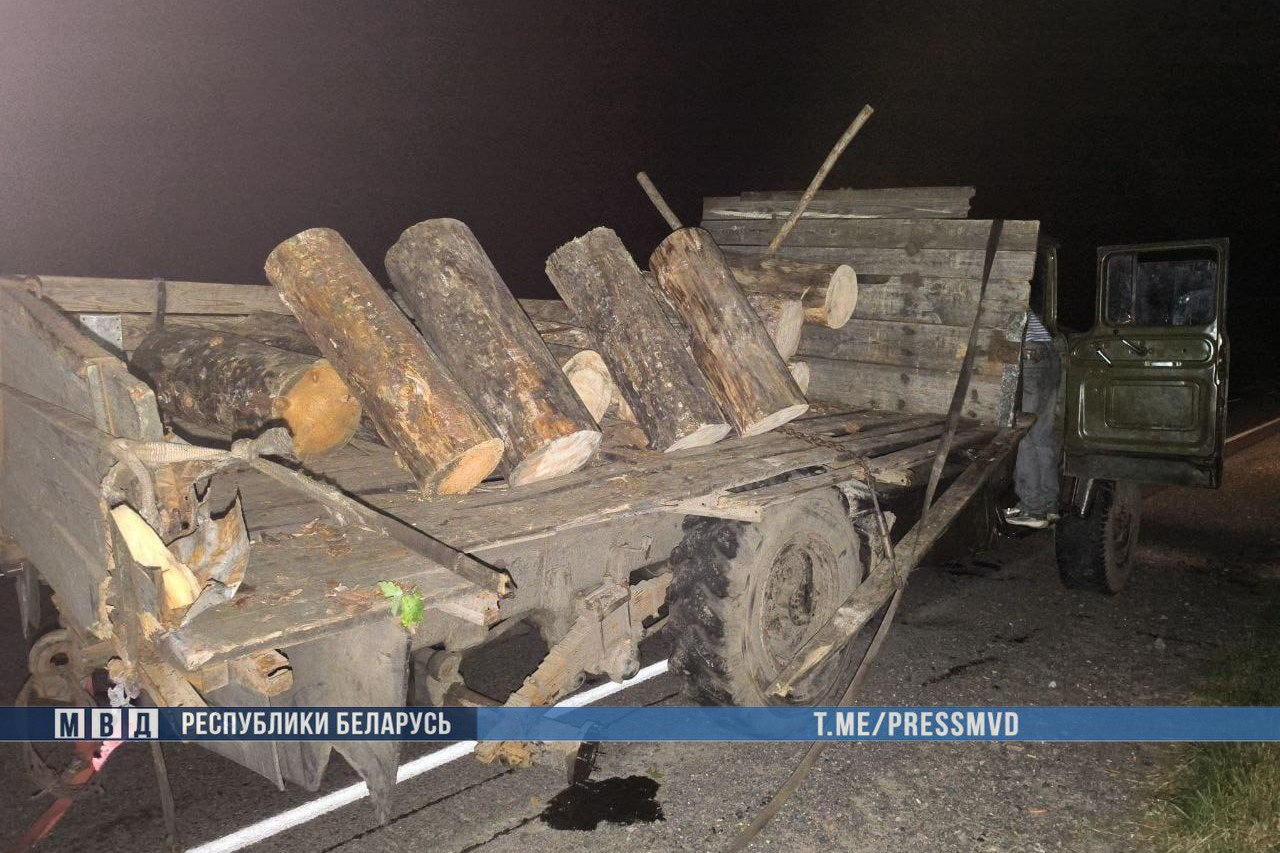 В Беларуси BMW столкнулся с ЗИЛом — двое погибших