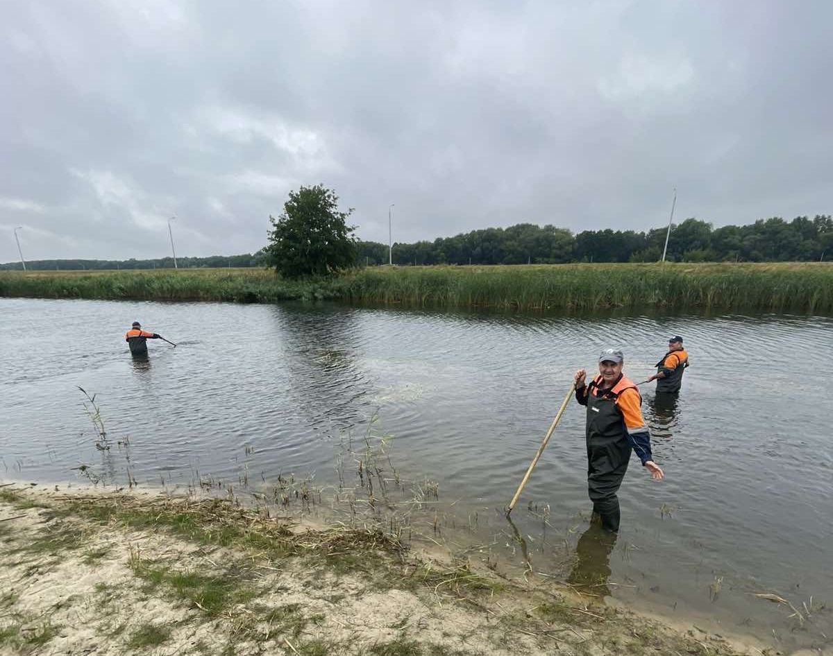 Лопаты и грабли в деле: в Бресте производят очистку акватории пляжа Гребного канала от водорослей